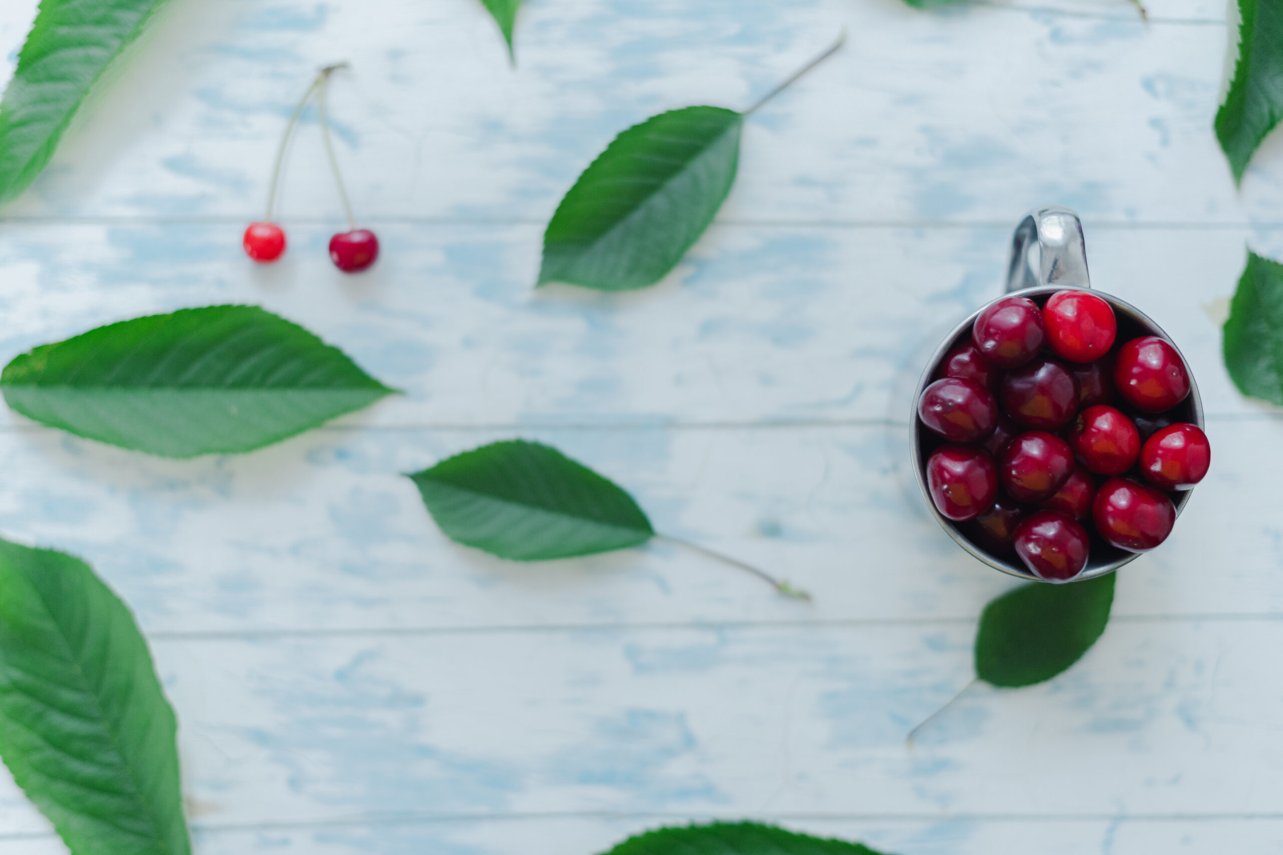Bearberry Extract