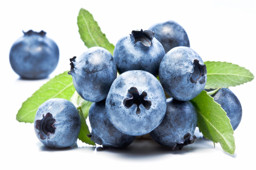 Blueberry Fruit Extract 