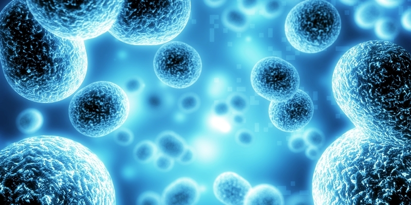 Cell Detoxifiers Cell Detoxifiers