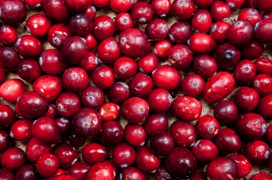 Cranberry Extract