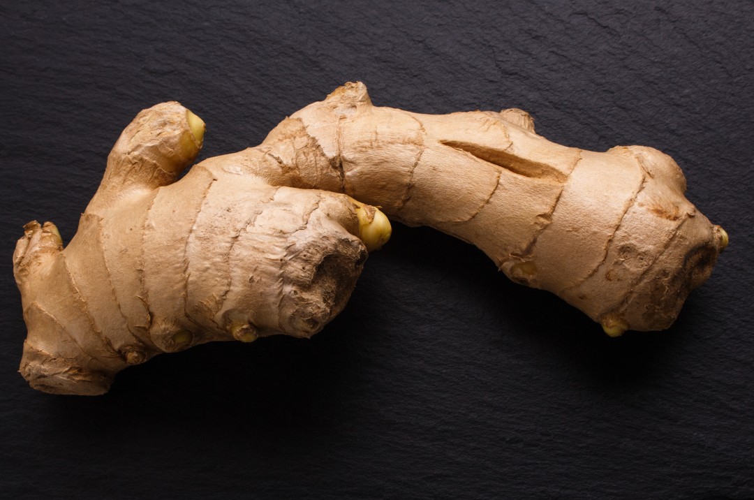 Ginger Root Extract